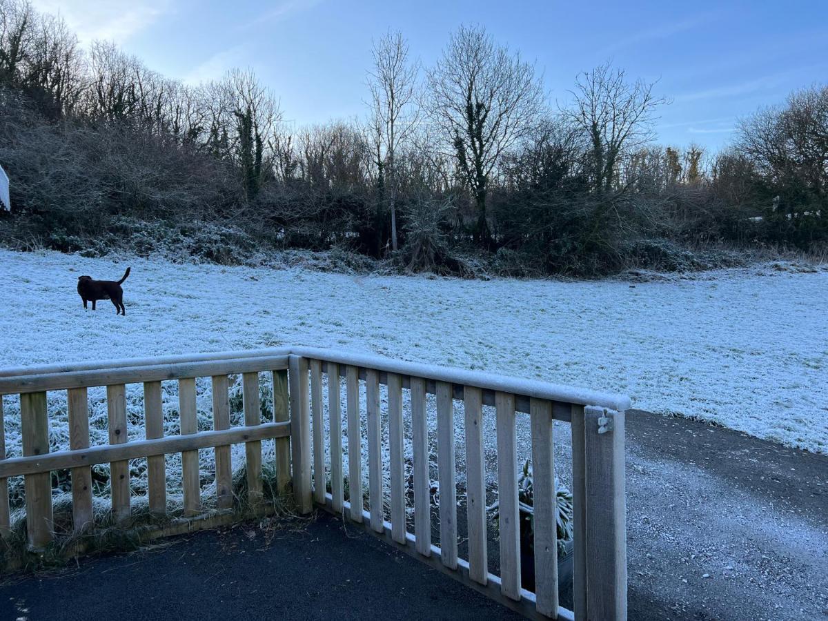 Kabin In The Woods Llandybie Экстерьер фото
