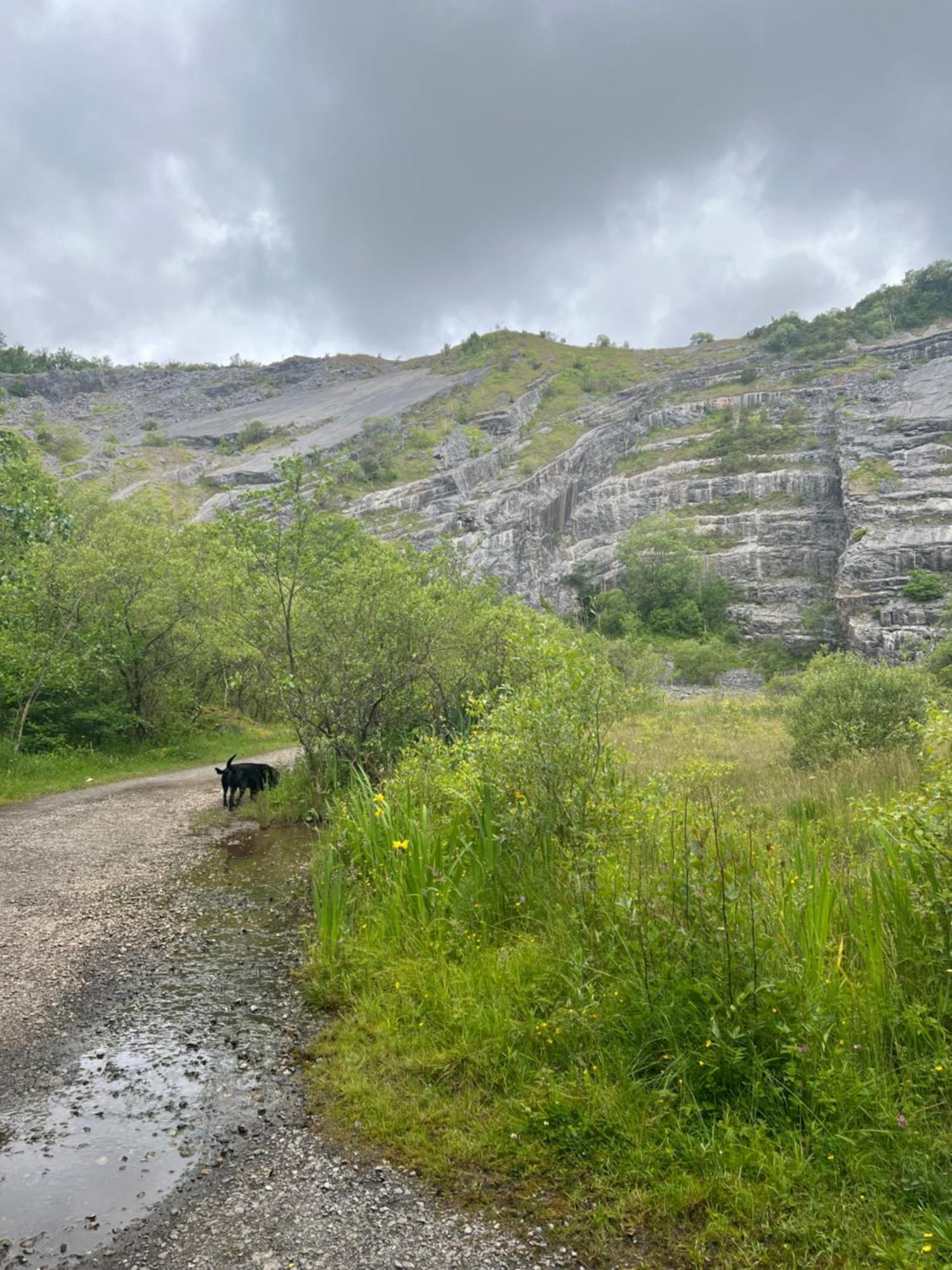 Kabin In The Woods Llandybie Экстерьер фото