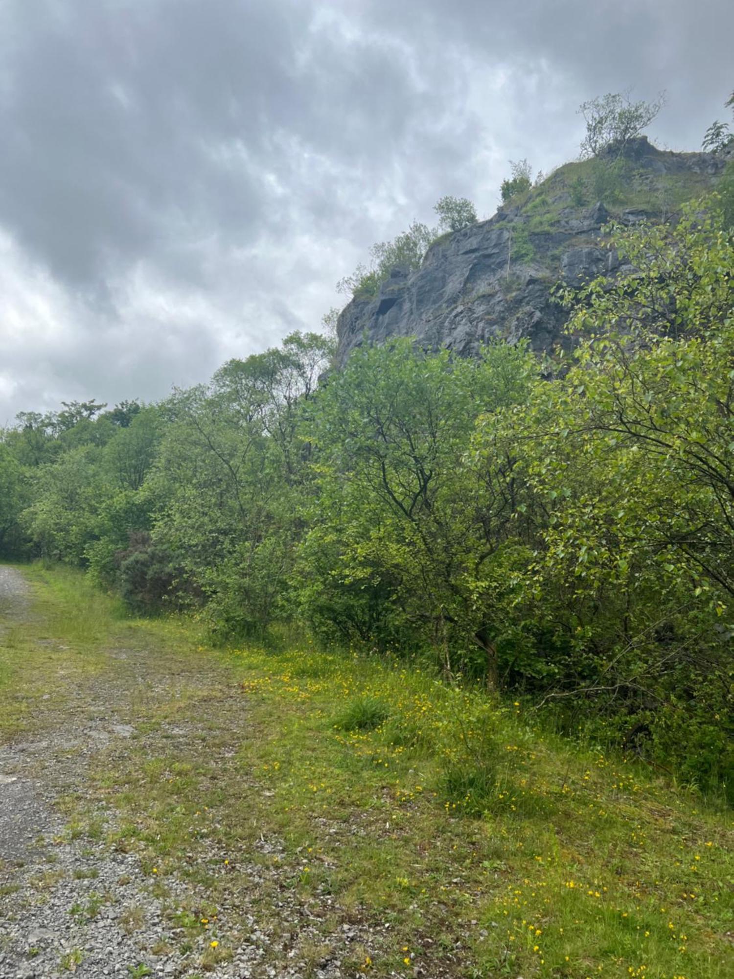 Kabin In The Woods Llandybie Экстерьер фото