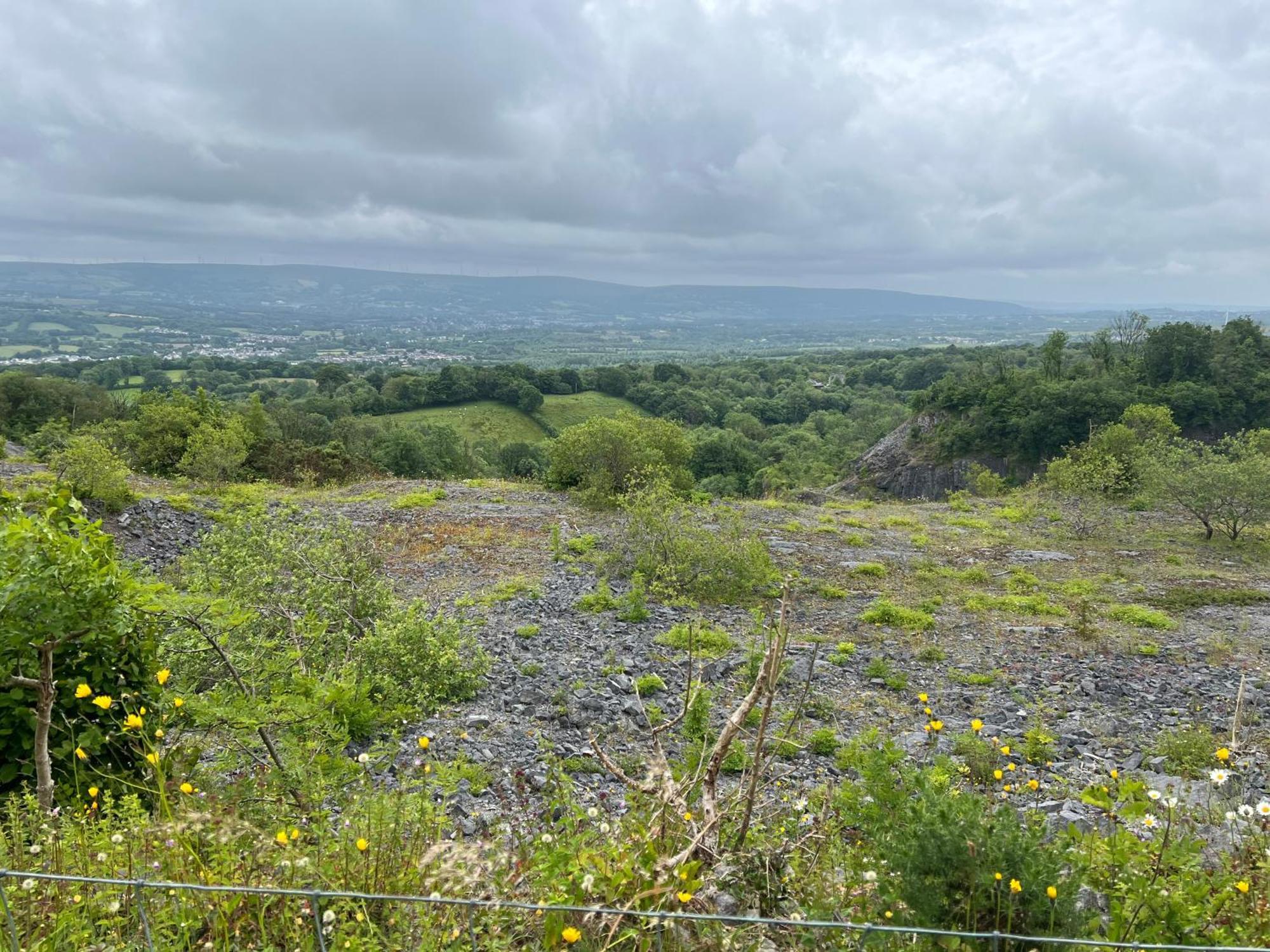 Kabin In The Woods Llandybie Экстерьер фото