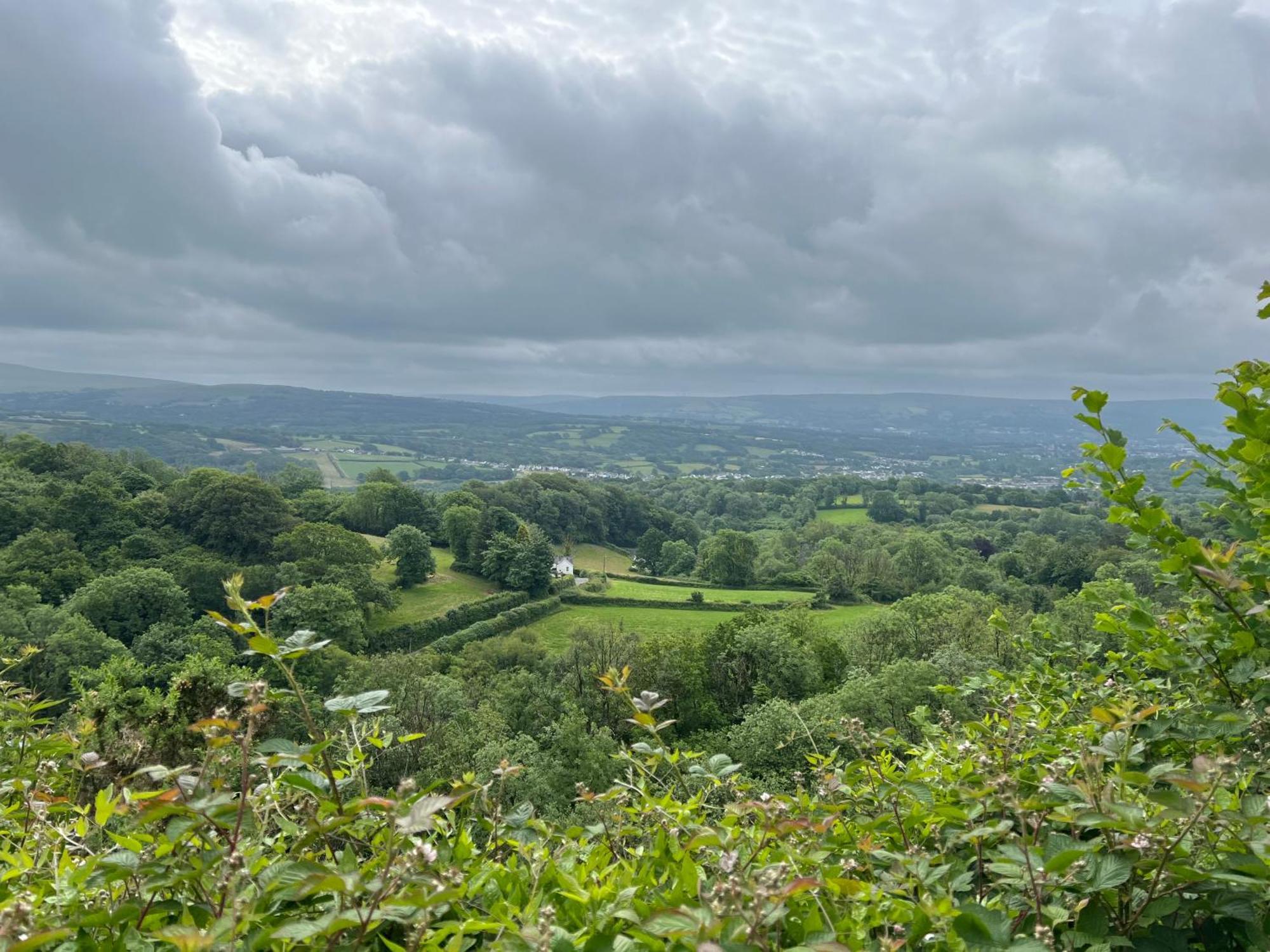 Kabin In The Woods Llandybie Экстерьер фото