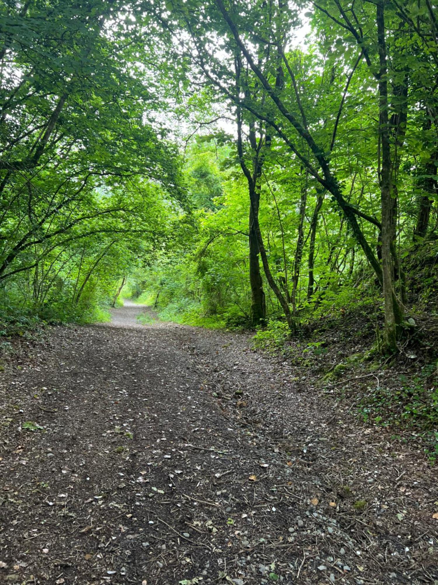 Kabin In The Woods Llandybie Экстерьер фото
